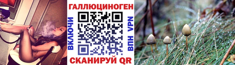 мориарти клад  Окуловка  Галлюциногенные грибы Magic Shrooms 